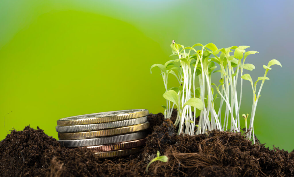 Stos monet i rosnąca roślina z bliska, koncepcja finansowa